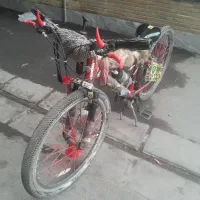دوچرخه26 کفخواب