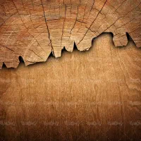 نیازمند کارآموز در زمینه صنایع چوب و ام دی اف