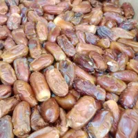 خرما|خوردنی و آشامیدنی|مشهد, سپاد|دیوار