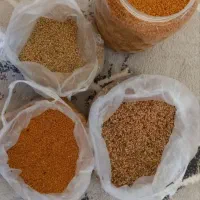 گرده گل