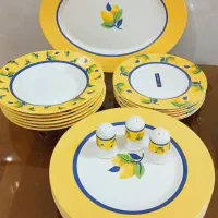 سرویس آرکوپال زست اصل فرانسه وقوری آرکوپال ویتا