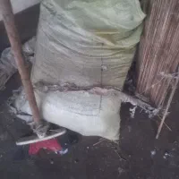 باسلام یک تون نان خوشکله