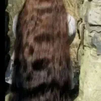 صادرکننده مو از تبریز
