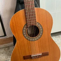 گیتار نو‌