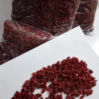 زرشک درجه‌یک و خوش‌رنگ  دُر سرخ کویر