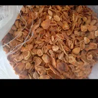 برگه آفتابی زردالو