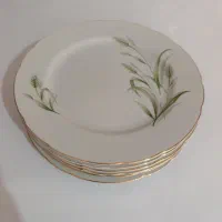 بشقاب و کاسه ارسال از تبریز قیمت ها در چت