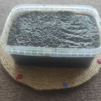 سبزی قرمه