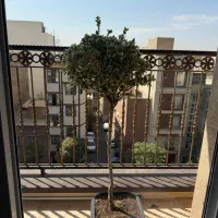 درختچه شمشاد