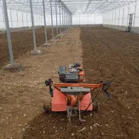 تیلر زنی باغ، باغچه، گلخانه