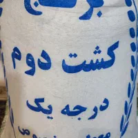 برنج خوش‌عطر طارم هاشمی و کشت دوم تست رایگان