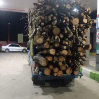 خرید چوب و ضایعات چوب
