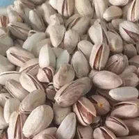 پسته اکبری مه ولات