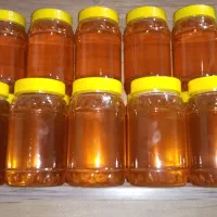 عسل طبیعی
