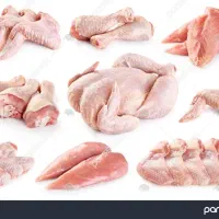 ضایعات مرغ