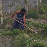 بیل زنی علف زنی حاشیه زنی باغبانی نظافت