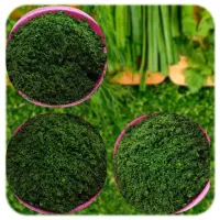 ترشیجات و سبزیجات خانگی بانو