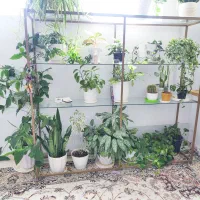 فروش استند گل و دکوری