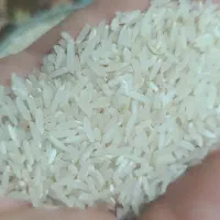 برنج