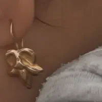 طلای گ م ش د ه