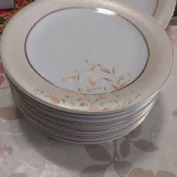 ۲ دست بشقاب پلو خوری