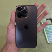 13pro