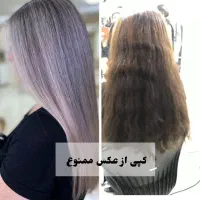نیازمند مدل
