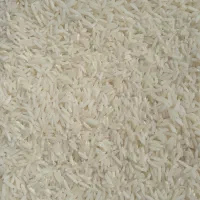 فروش برنج هاشمی