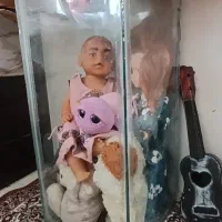 آکواریم