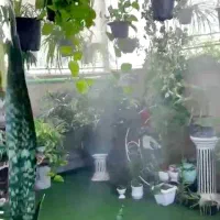 ویلایی-سه-دانگ-شهرک-توحید