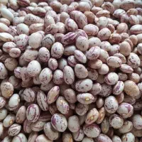 لوبیا|خوردنی و آشامیدنی|ازنا, |دیوار