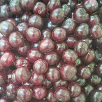 هسته گیری آلبالو
