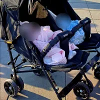 کالسکه دوقلو