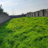 فروش ویژه زمین تجاری مسکونی شلمان
