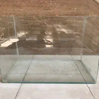 آکواریوم ماهی دیسکس شیشه خم