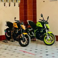 دو عدد بلنتا z249