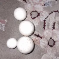 سنگ اسیاب یاسنگ الماس