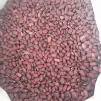 لوبیا و نخود