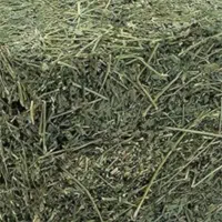 یونجه خشک
