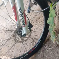 vivaاصل