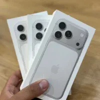 17pro