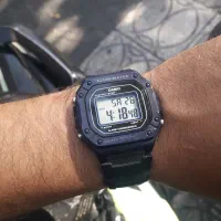کاسیو اورجینال