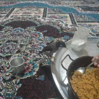 مرغ مینا