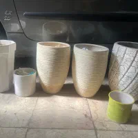تعدادی گلدان گل