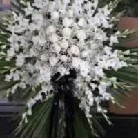 مداح مداحی . کردی فارسی دشتی