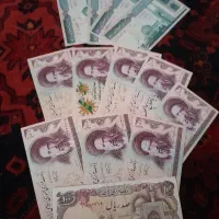 ۱۳عدد اسنکاس کاکسیونی