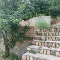 زمین