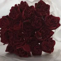 گل ربانی 18شاخه ای