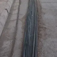 کاربنایی صفرتاصد