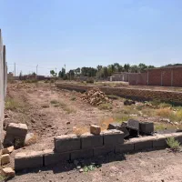 فروش زمین رفسنجان